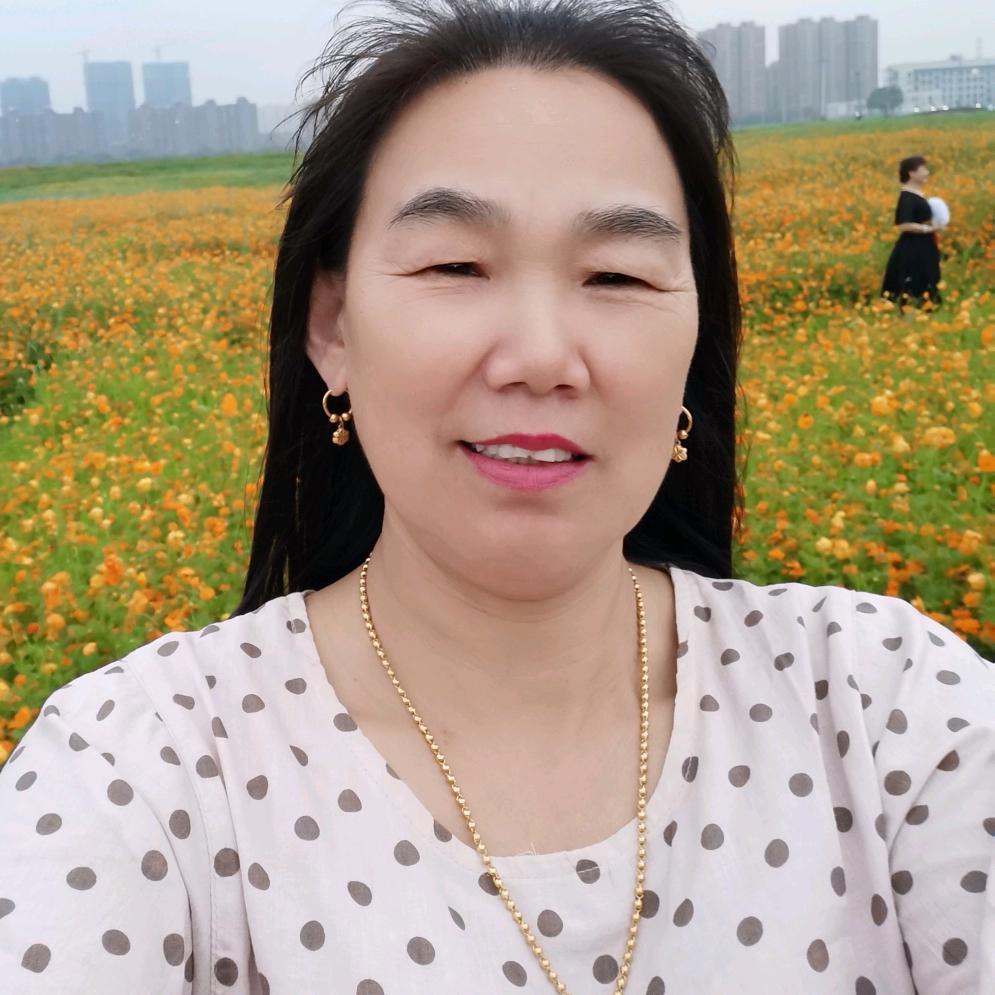 金金点子