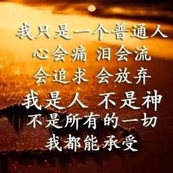 尘埃落定（拒私聊）