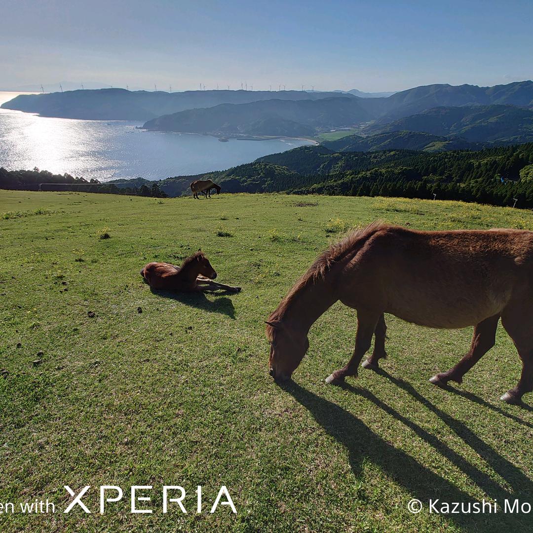 善良是做人的基本1