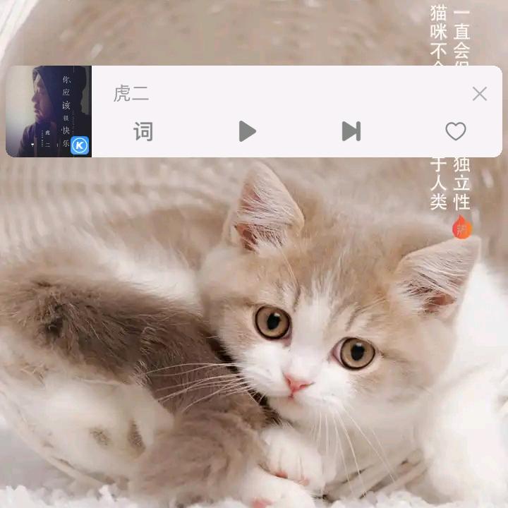 高端外墙设计小刘