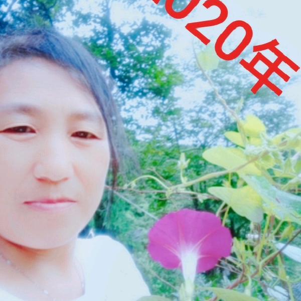 用户2275109084894