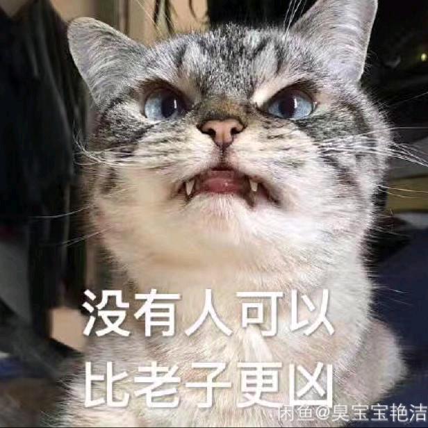 飝得更高