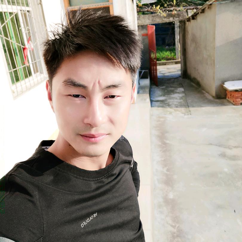 枯木与海