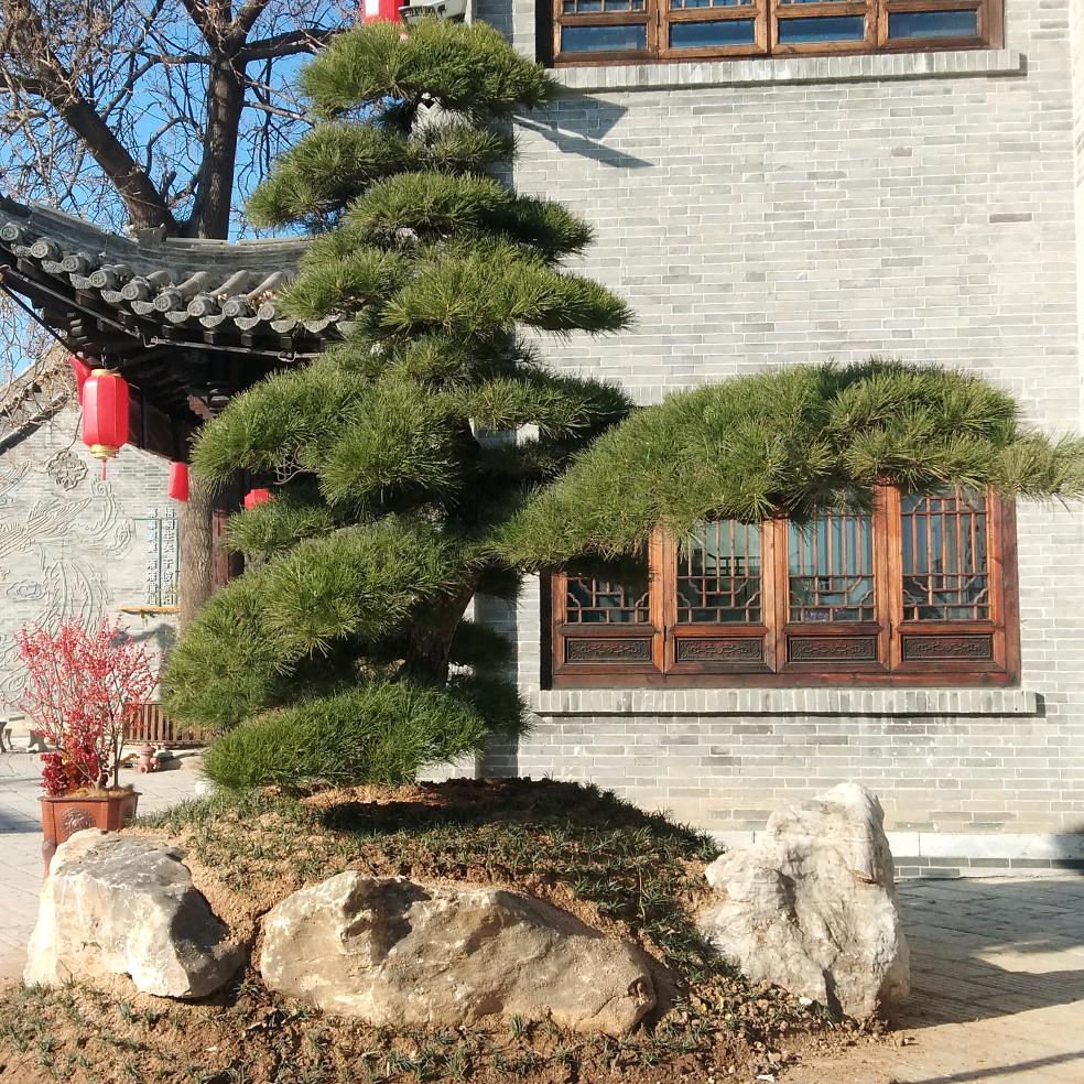 幸福快乐！