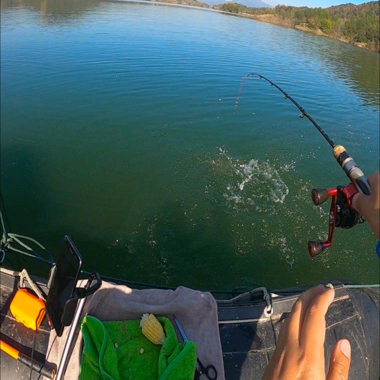江湖诗人（及时行钓）