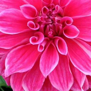 顺利好运@感恩有你。！