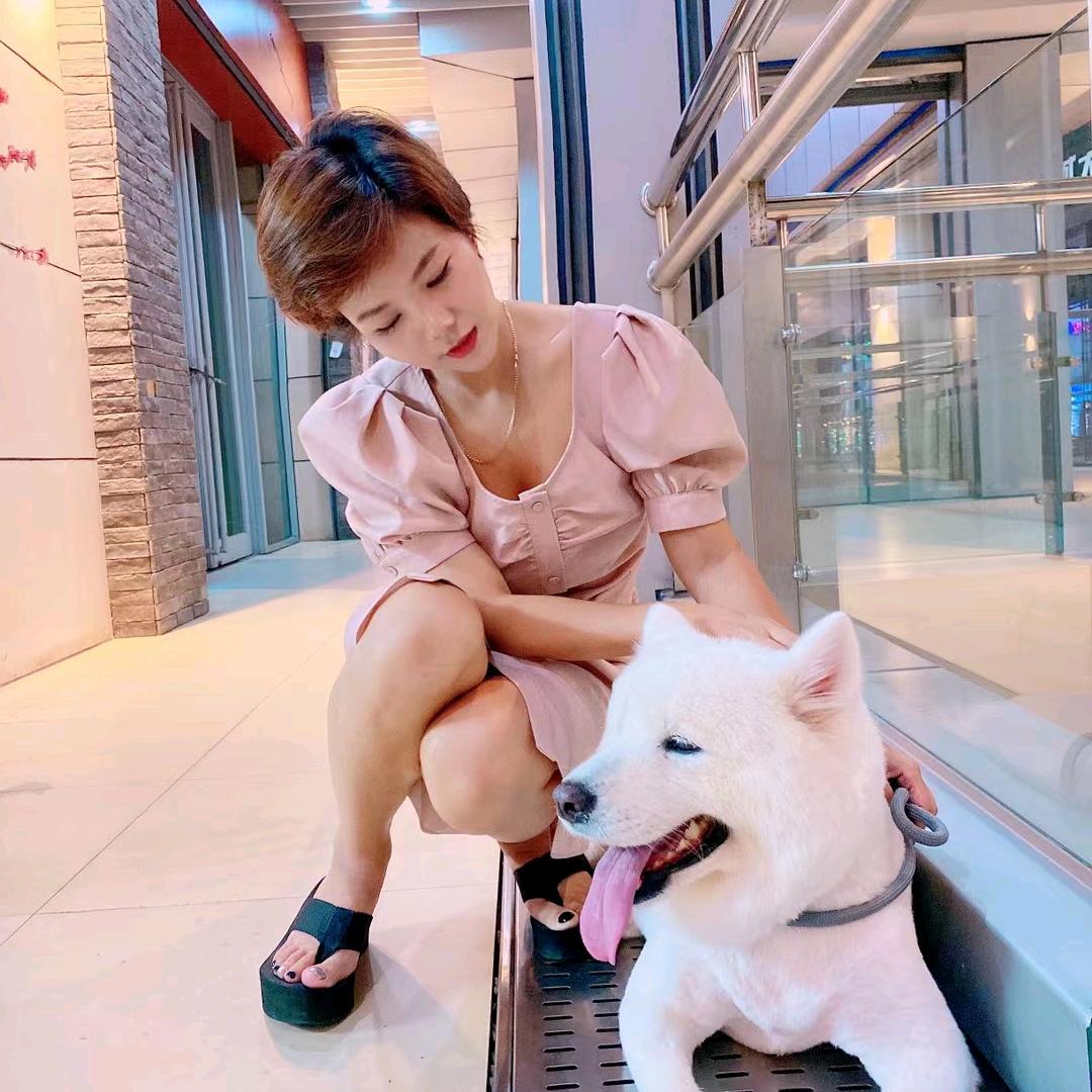 王小米的汪汪馆