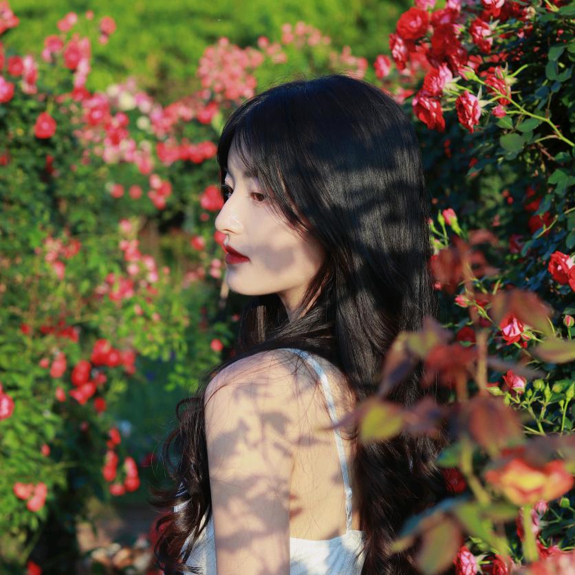 人生若如初相见