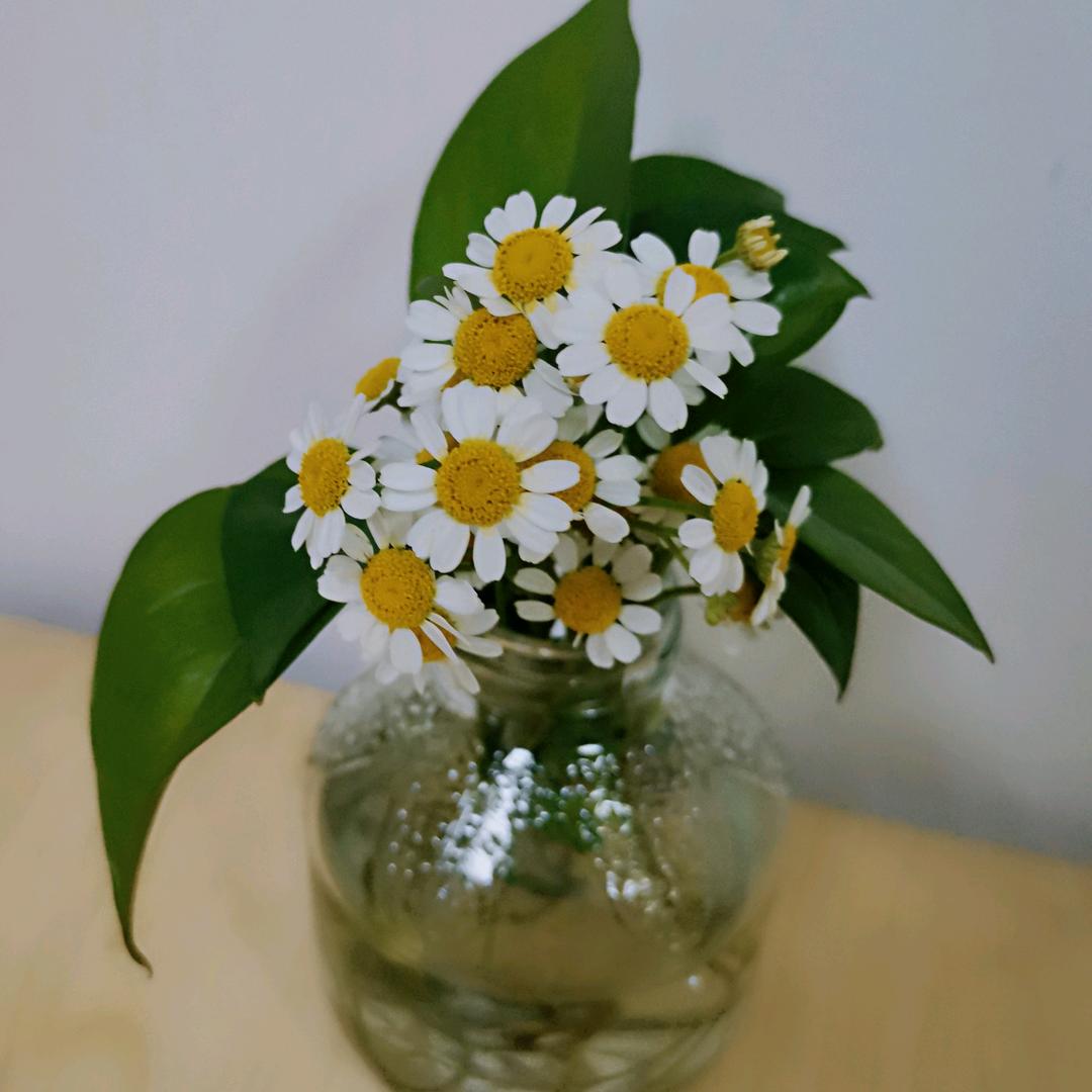 小树