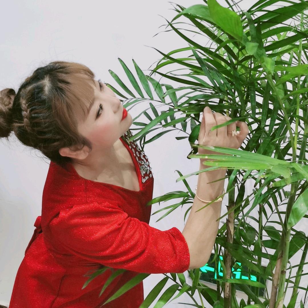 淑凤