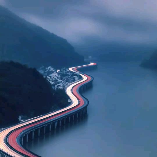 杨杨杨