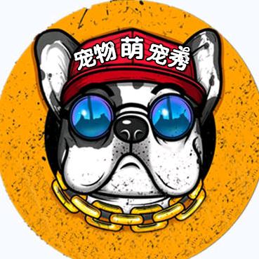 宠物萌宠秀
