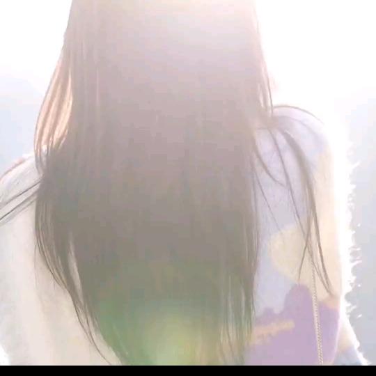 政昂金鱼
