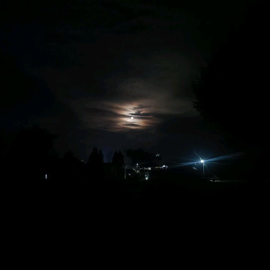 守得云开见月明