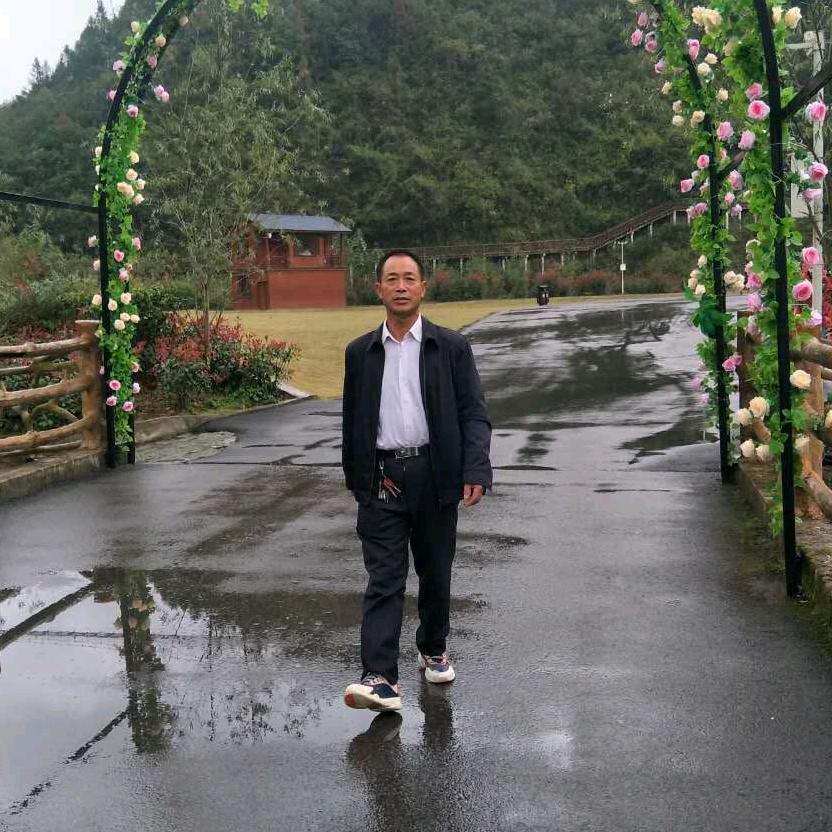龙头金哥
