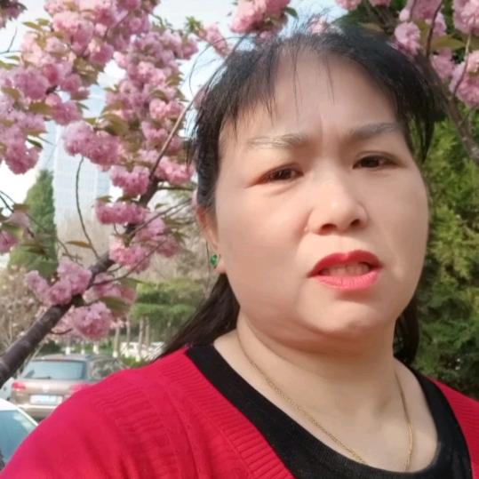 春风玫瑰