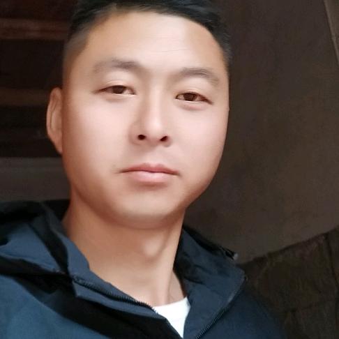 向雨又向风