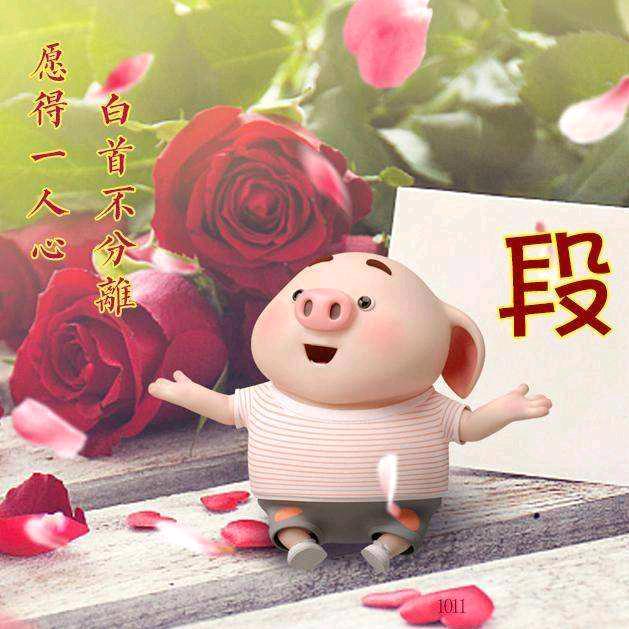 💞🕊️余生᭄ꦿ꯭随心