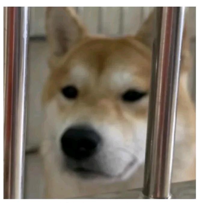 喝毒鸡汤了