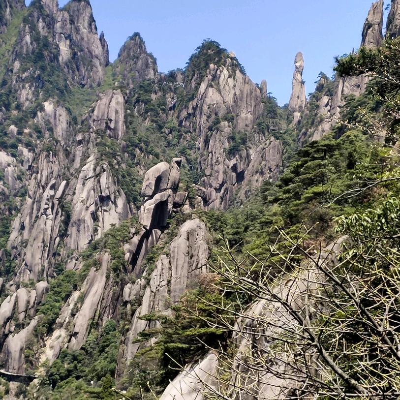 龍...行...天...下