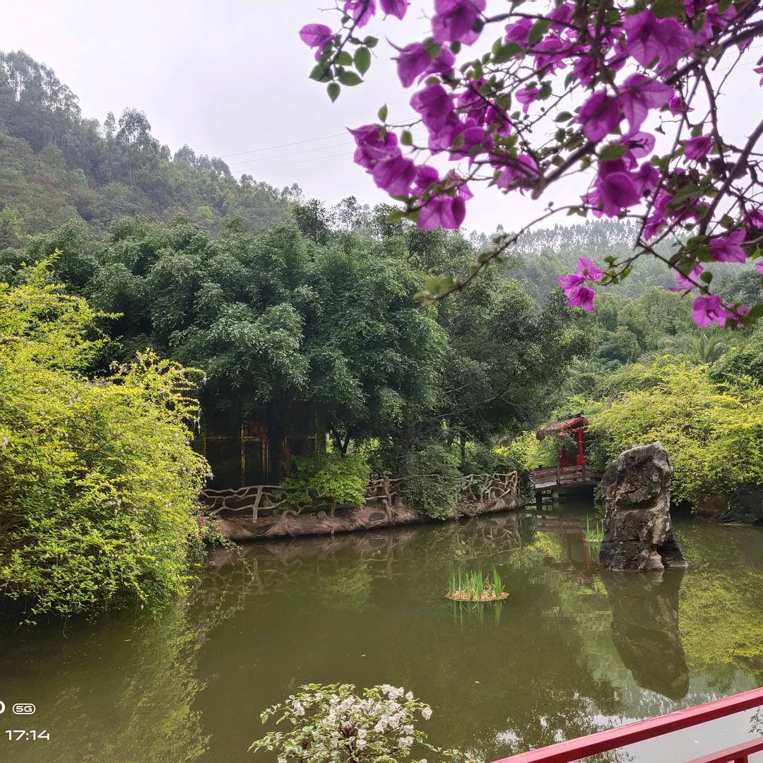梅兰竹菊