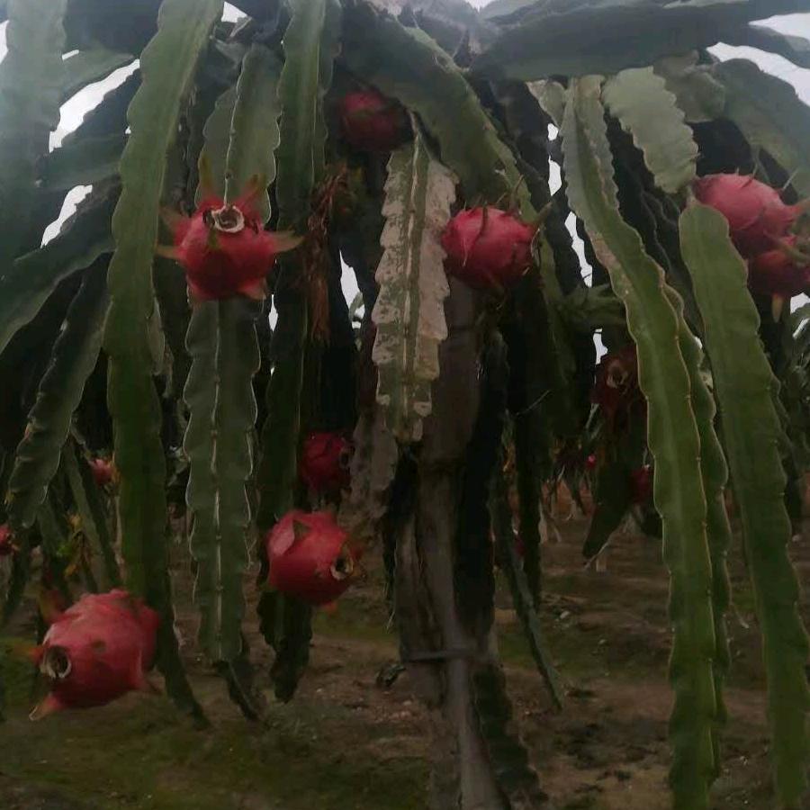 用户：欣欣向荣