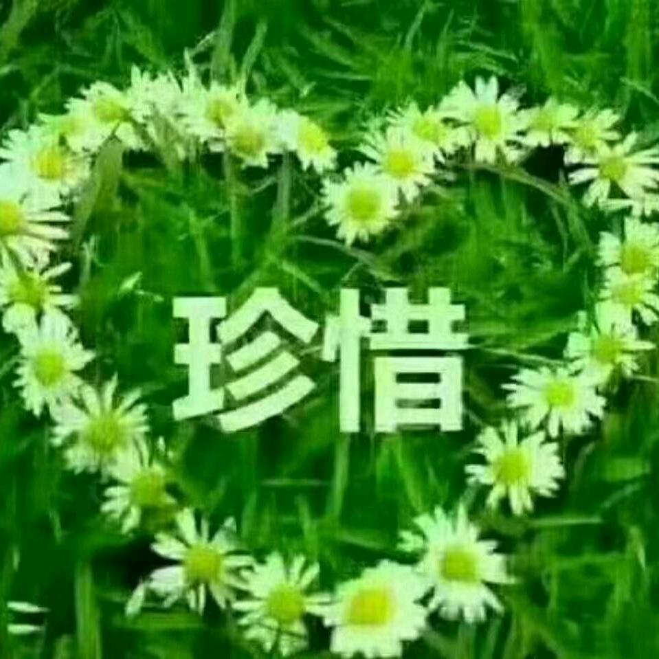 懂得珍惜
