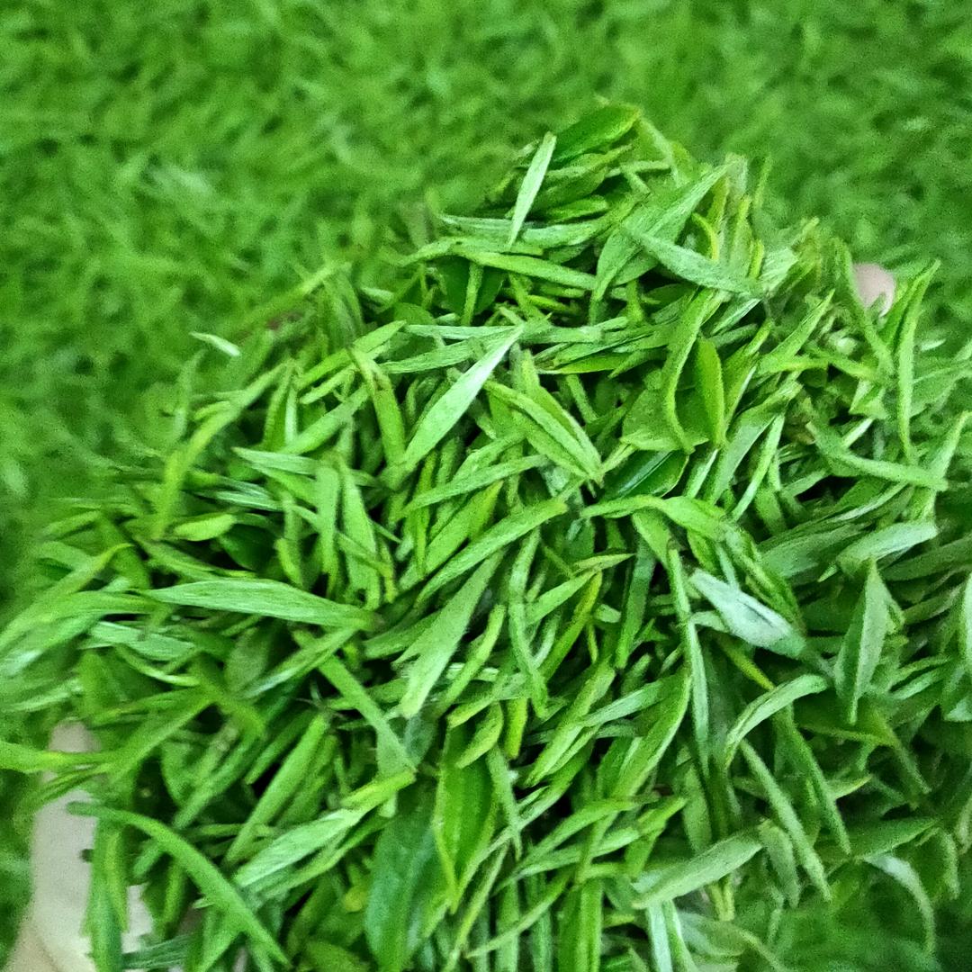 唐敏