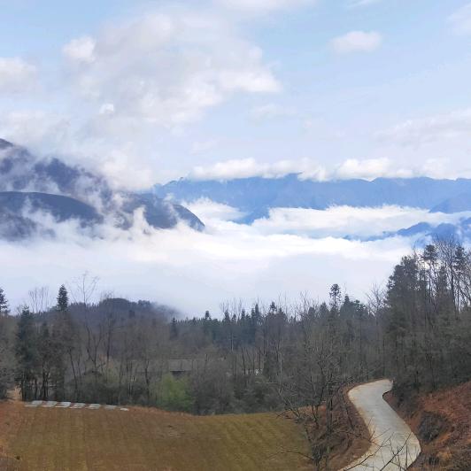 无业人员，创业者