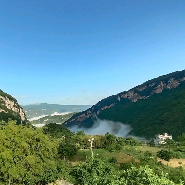 和平精英高手