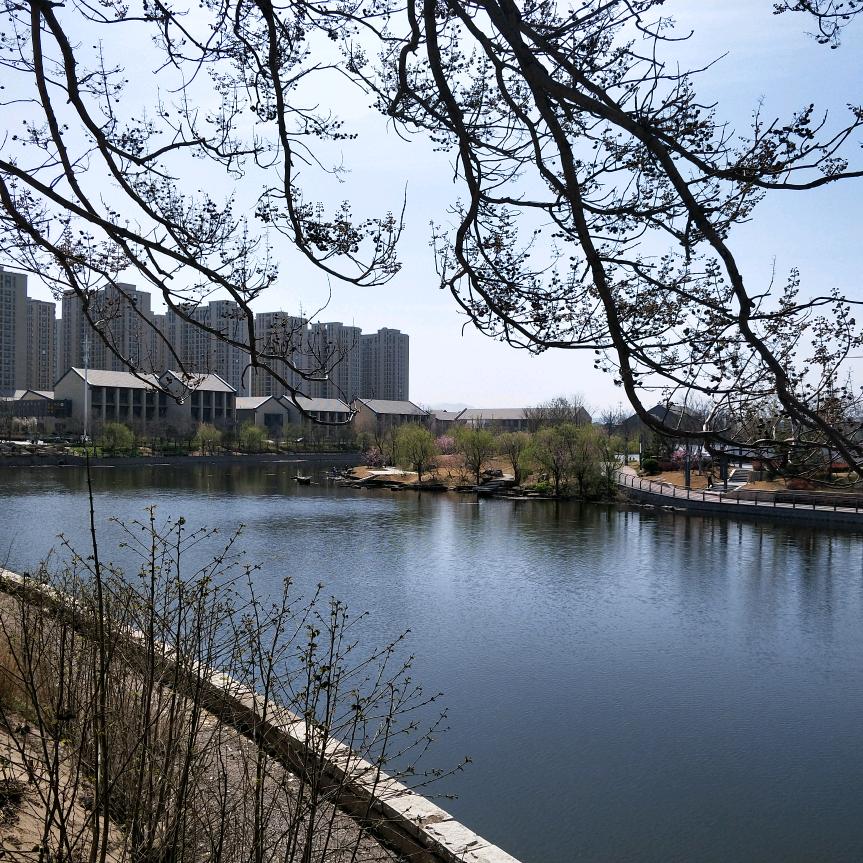 路标