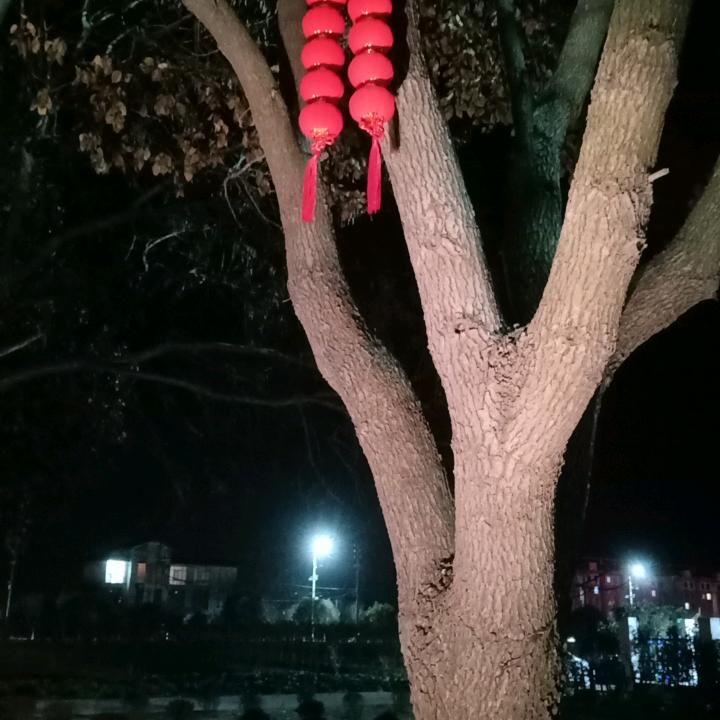 用户9800755760680开心就好