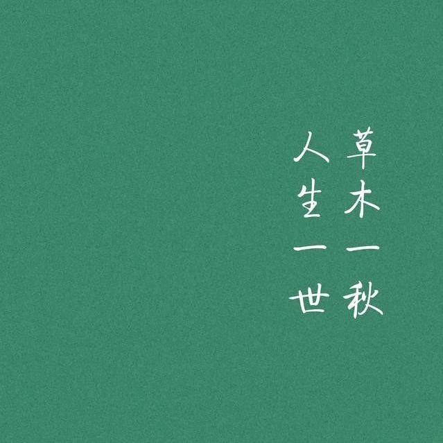 写作技能