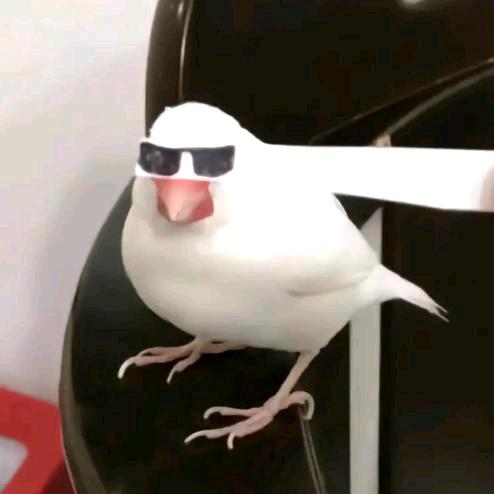 桥.