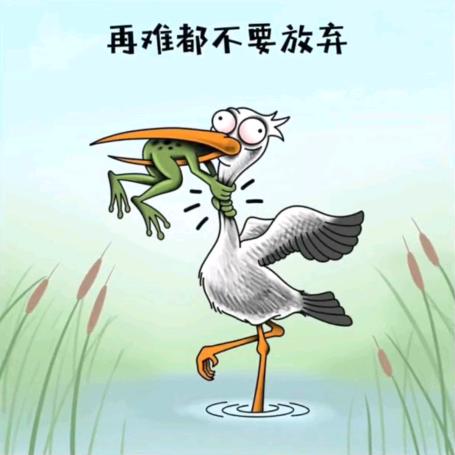 临潼吴在西安(互关)