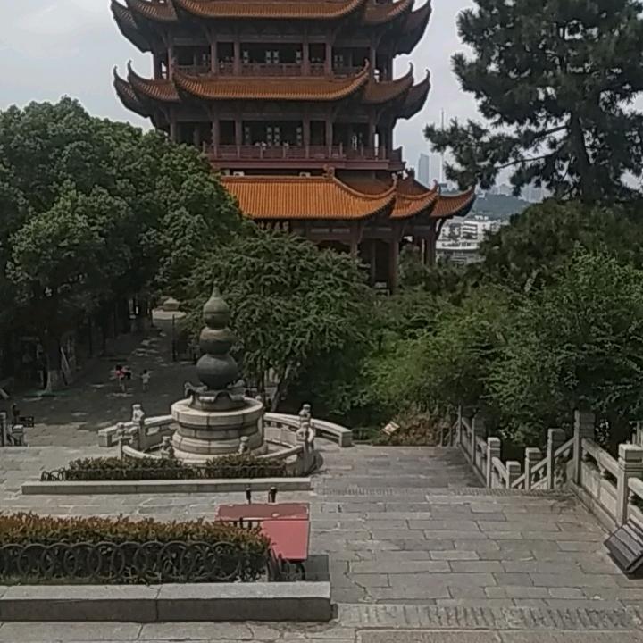 缘