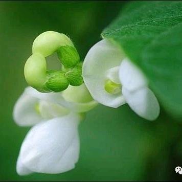 和生活握手言和