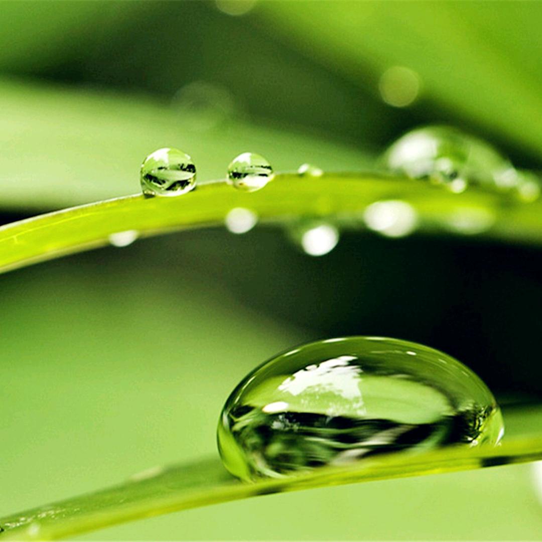 高兴快乐每一天