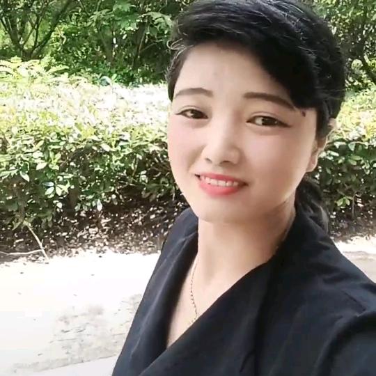 安徽燕子