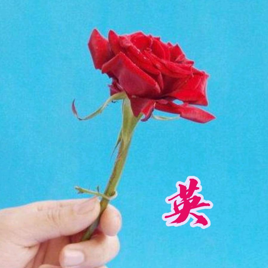 英英玉立