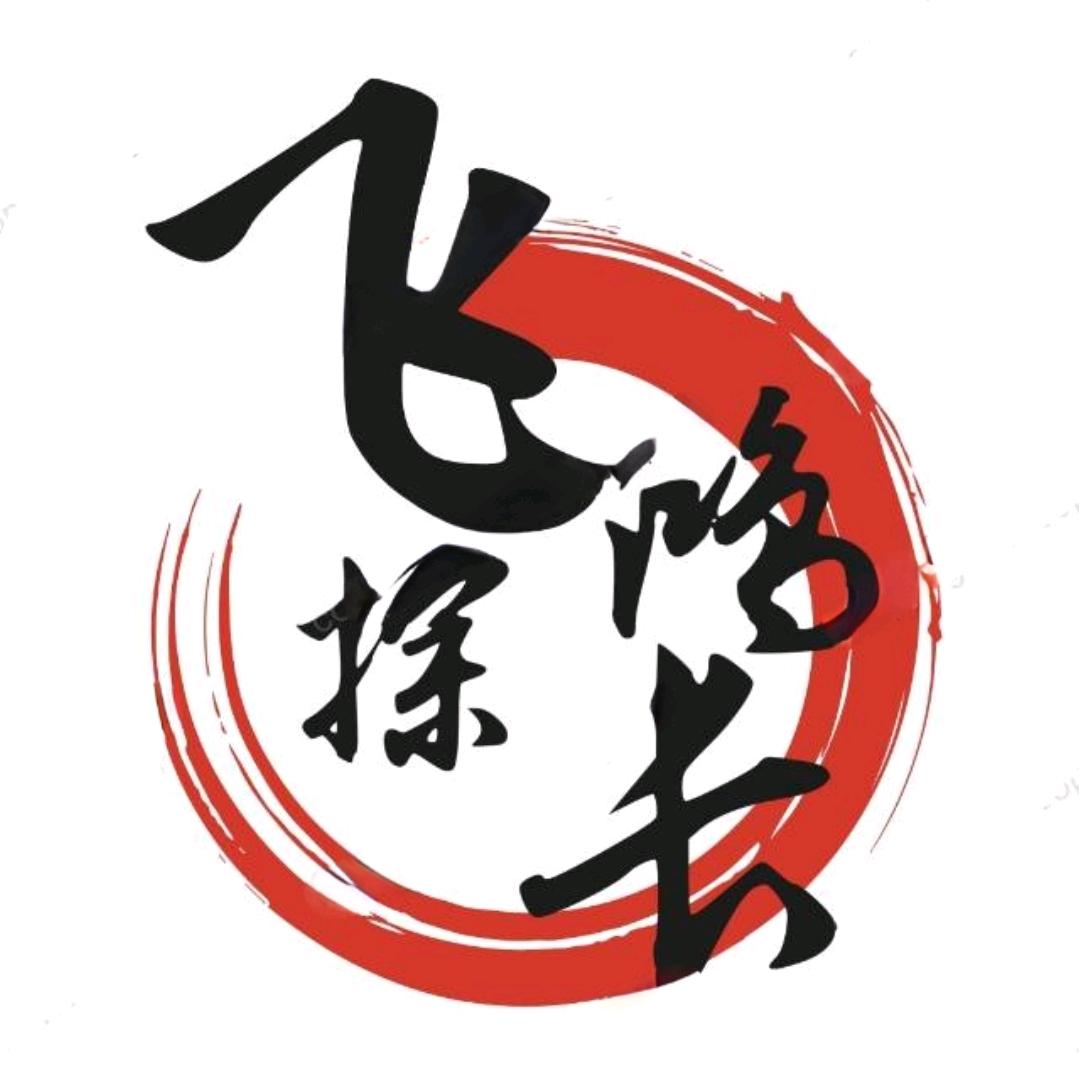 飞鸿探长