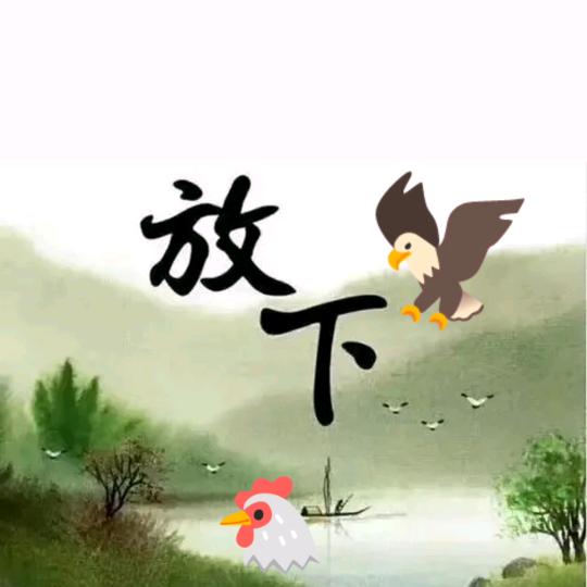 老张头的生活VLog