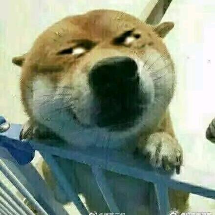走成华大道