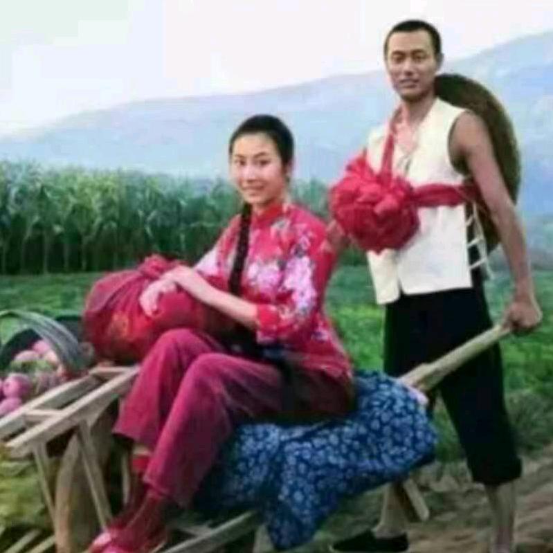 桃花岛主