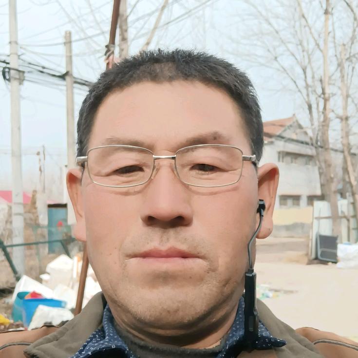 金月年华