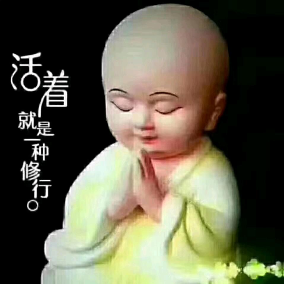 普照大地