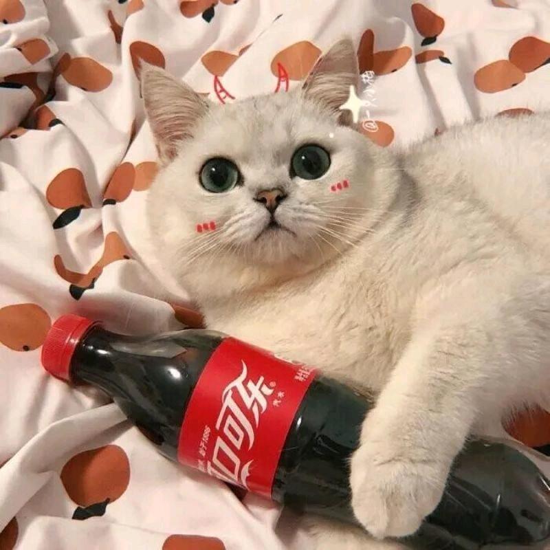 苏酥