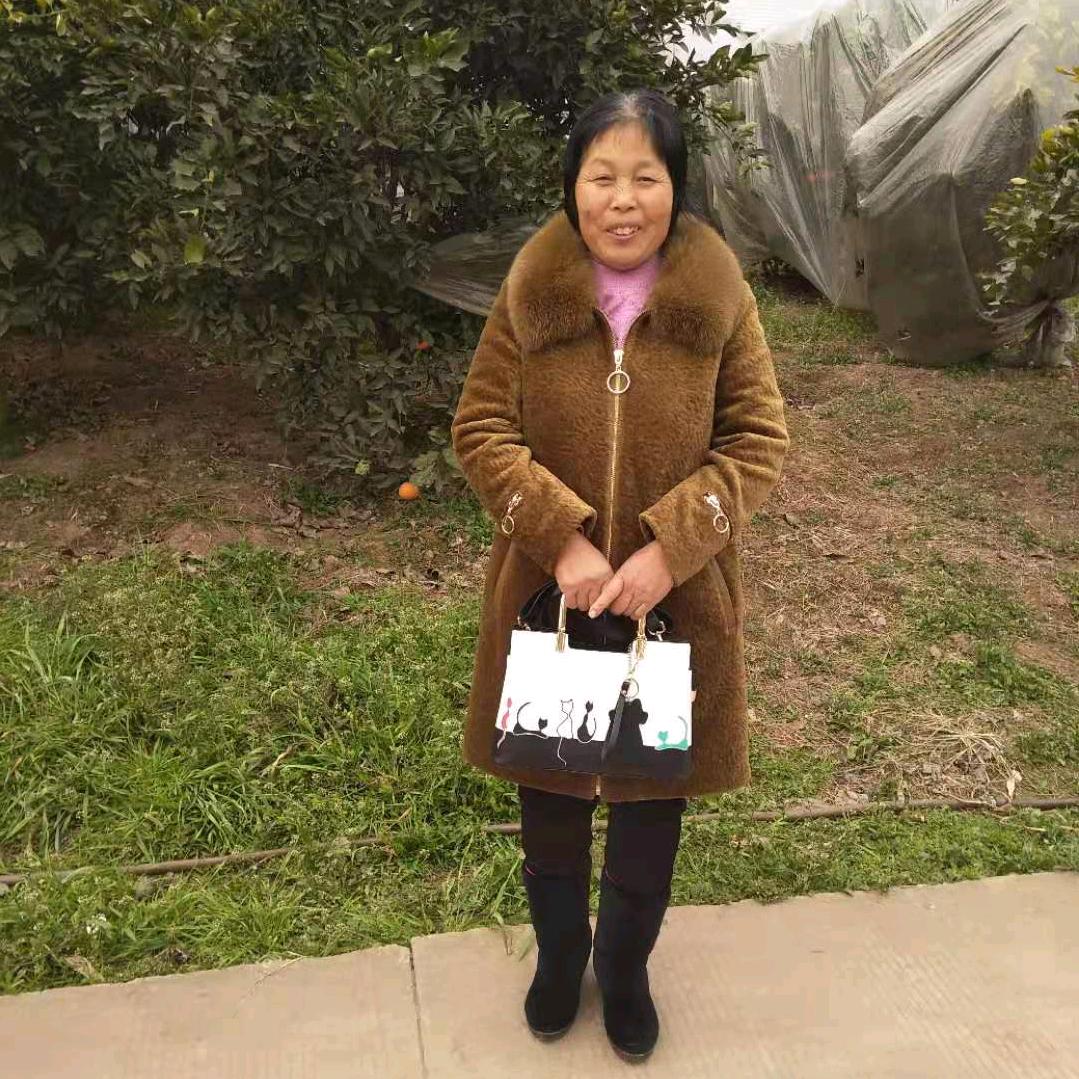 🍊🍊🍊柑橘果园