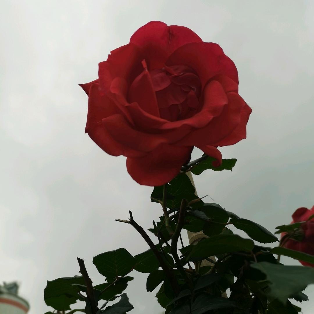 记忆才是拥有