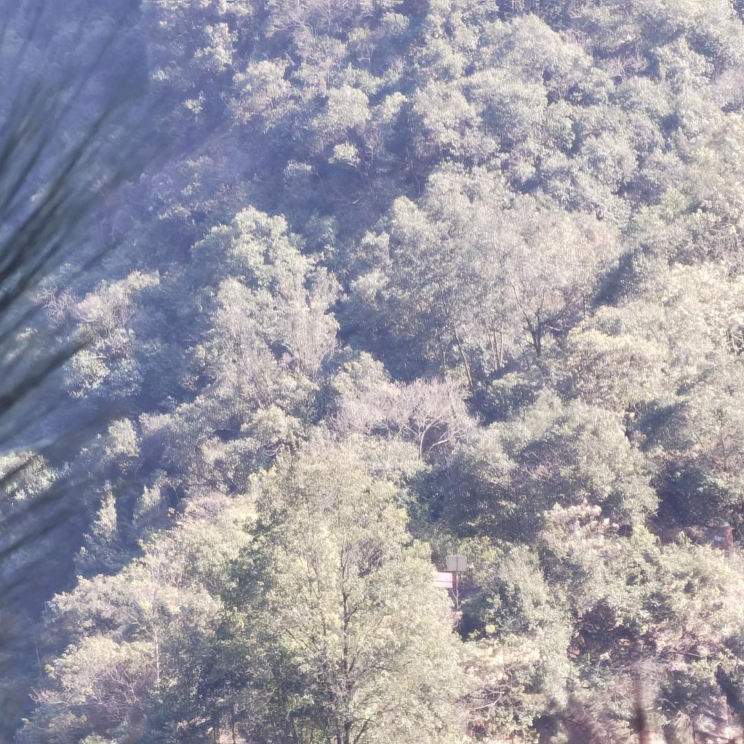 浪迹天涯lf